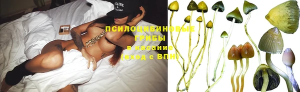 ГАЛЛЮЦИНОГЕННЫЕ ГРИБЫ Строитель