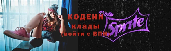 ГАЛЛЮЦИНОГЕННЫЕ ГРИБЫ Строитель