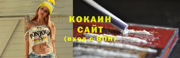Альфа ПВП Гусев