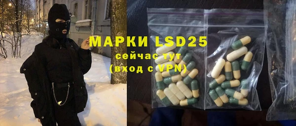 ГАЛЛЮЦИНОГЕННЫЕ ГРИБЫ Строитель