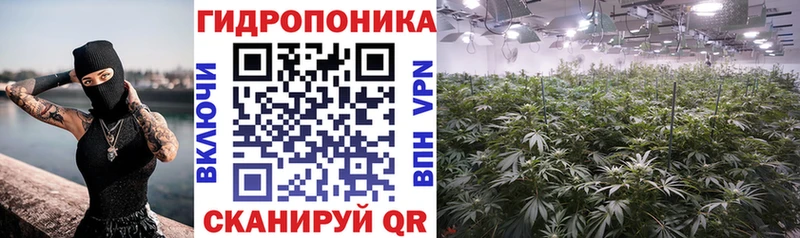 Каннабис индика  Островной 